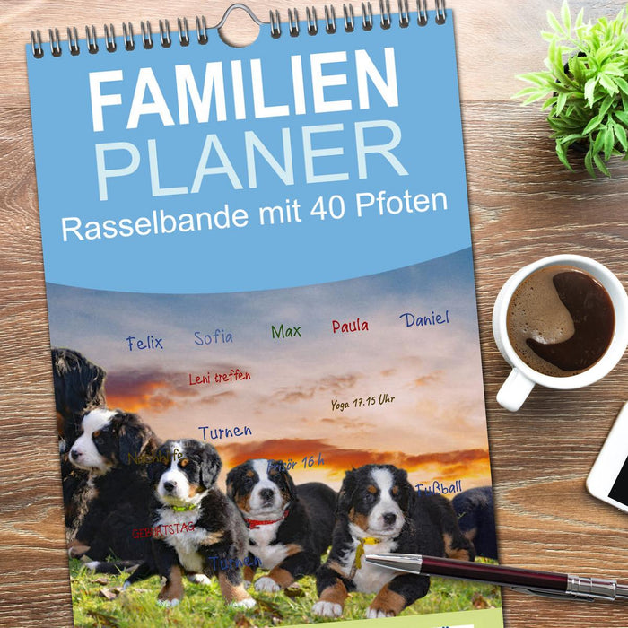 Rasselbande mit 40 Pfoten (CALVENDO Familienplaner 2026)