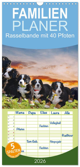 Rasselbande mit 40 Pfoten (CALVENDO Familienplaner 2026)