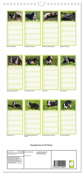 Rasselbande mit 40 Pfoten (CALVENDO Familienplaner 2026)