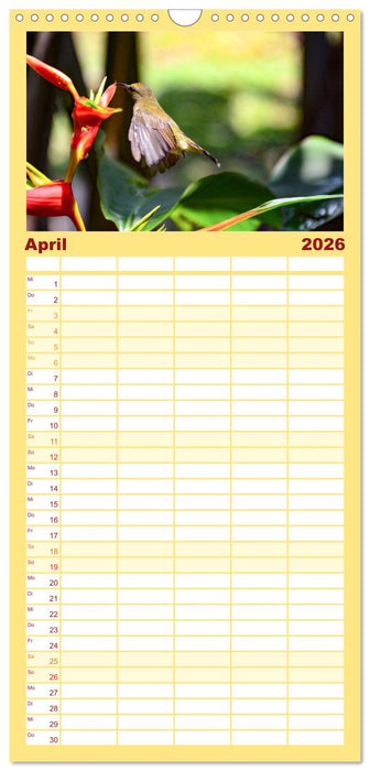 Singapur - Die Stadt am Puls der Zeit. (CALVENDO Familienplaner 2026)