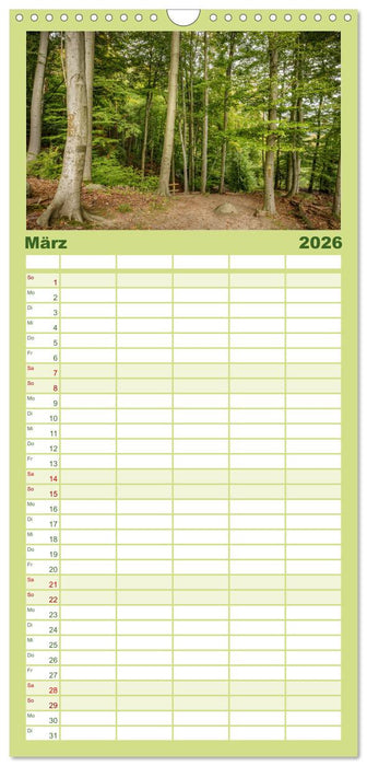 Der Odenwald und das Felsenmeer (CALVENDO Familienplaner 2026)