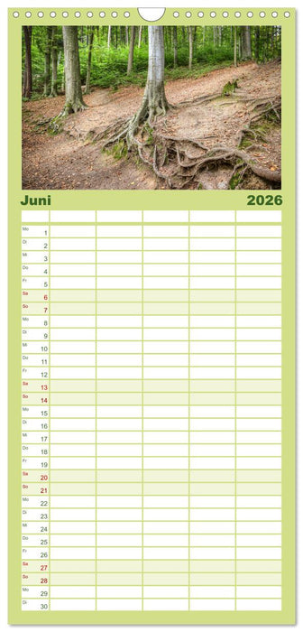 Der Odenwald und das Felsenmeer (CALVENDO Familienplaner 2026)