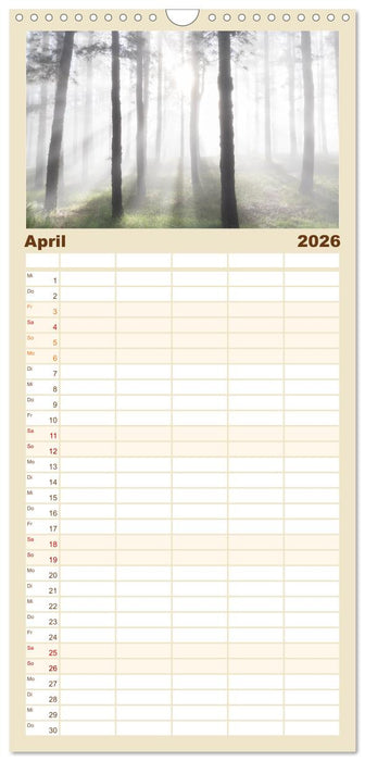 La Palma - La Isla Bonita (CALVENDO Familienplaner 2026)