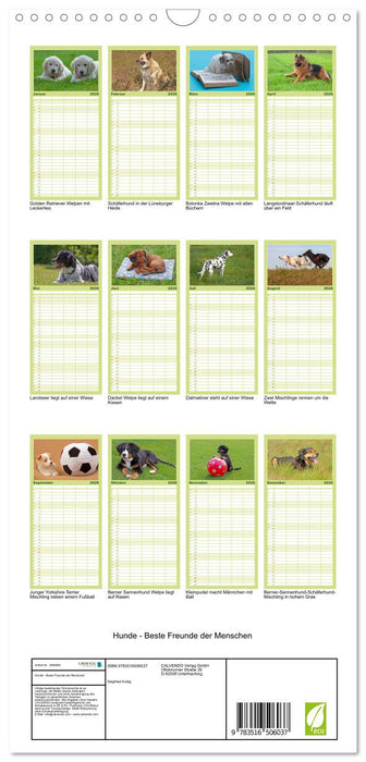 Hunde - Beste Freunde der Menschen (CALVENDO Familienplaner 2026)