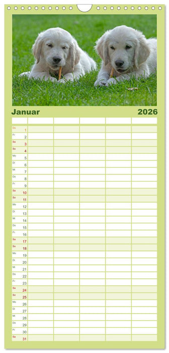 Hunde - Beste Freunde der Menschen (CALVENDO Familienplaner 2026)