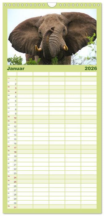 Botswana- Pirschfahrt mit Garantie auf Wildlife (CALVENDO Familienplaner 2026)