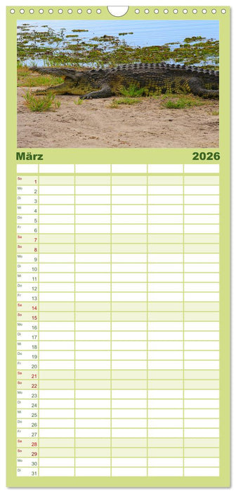 Botswana- Pirschfahrt mit Garantie auf Wildlife (CALVENDO Familienplaner 2026)