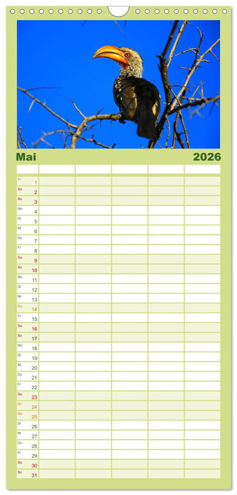 Botswana- Pirschfahrt mit Garantie auf Wildlife (CALVENDO Familienplaner 2026)