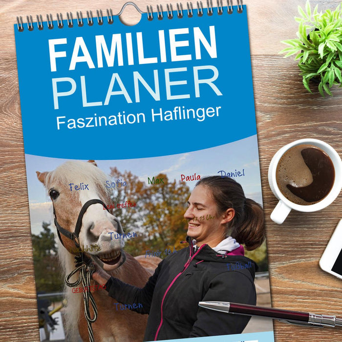 Faszination Haflinger (CALVENDO Familienplaner 2026)