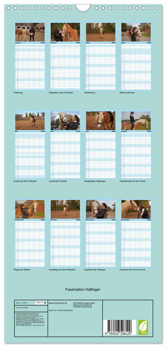 Faszination Haflinger (CALVENDO Familienplaner 2026)