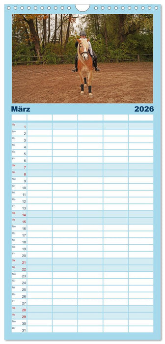 Faszination Haflinger (CALVENDO Familienplaner 2026)
