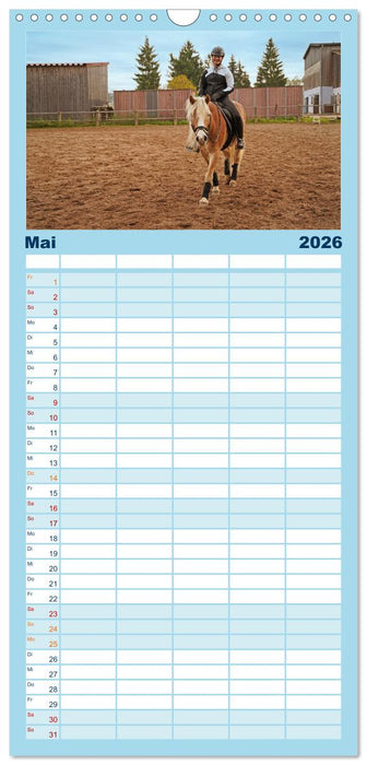 Faszination Haflinger (CALVENDO Familienplaner 2026)