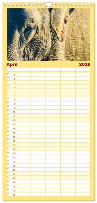 Sri Lanka - Eine wahre Perle im Indischen Ozean (CALVENDO Familienplaner 2026)