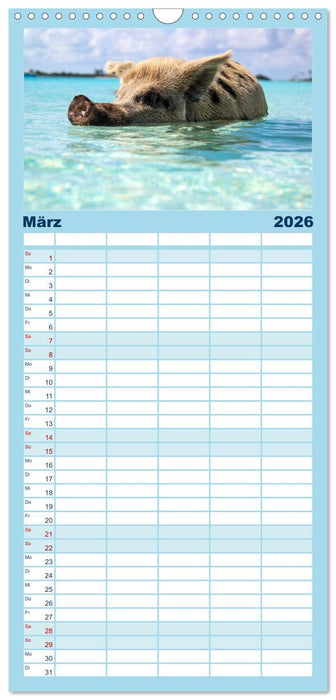 Bahamas - Paradiesische Strände. (CALVENDO Familienplaner 2026)