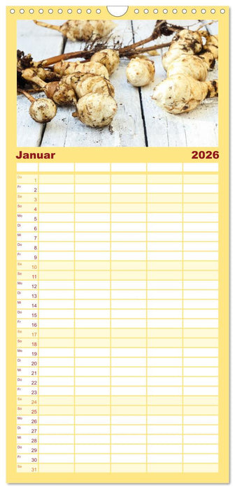 Köstliche Topinambur (CALVENDO Familienplaner 2026)