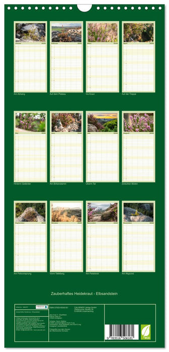 Zauberhaftes Heidekraut - Elbsandstein (CALVENDO Familienplaner 2026)