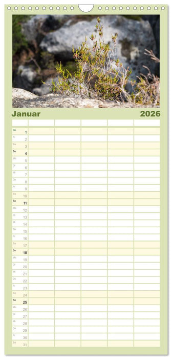 Zauberhaftes Heidekraut - Elbsandstein (CALVENDO Familienplaner 2026)