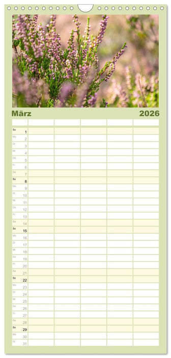 Zauberhaftes Heidekraut - Elbsandstein (CALVENDO Familienplaner 2026)