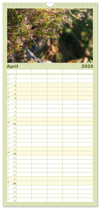 Zauberhaftes Heidekraut - Elbsandstein (CALVENDO Familienplaner 2026)