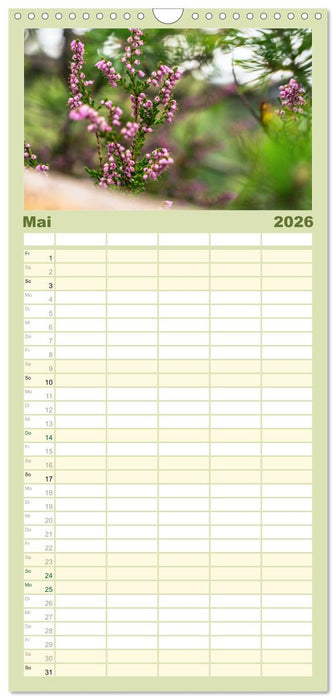 Zauberhaftes Heidekraut - Elbsandstein (CALVENDO Familienplaner 2026)