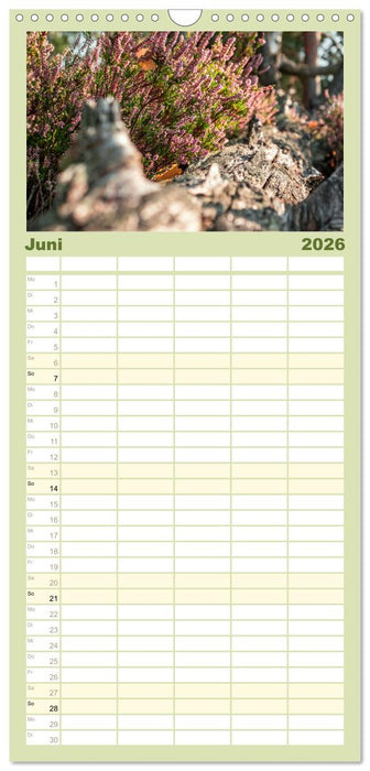 Zauberhaftes Heidekraut - Elbsandstein (CALVENDO Familienplaner 2026)