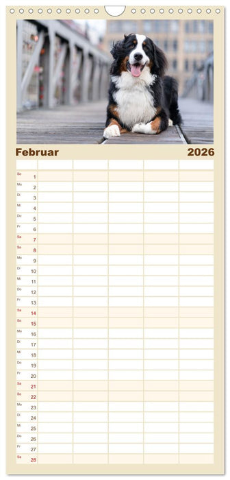 Hunde in der City - Unterwegs in Hamburg (CALVENDO Familienplaner 2026)