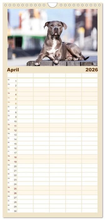 Hunde in der City - Unterwegs in Hamburg (CALVENDO Familienplaner 2026)