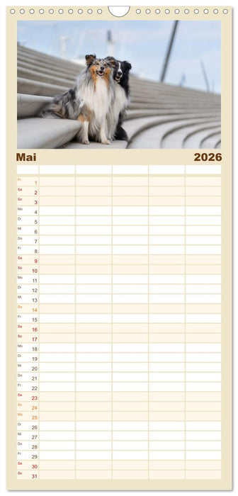 Hunde in der City - Unterwegs in Hamburg (CALVENDO Familienplaner 2026)