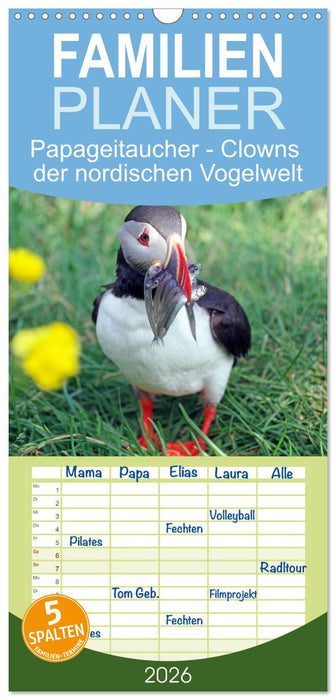 Papageitaucher - Clowns der nordischen Vogelwelt (CALVENDO Familienplaner 2026)