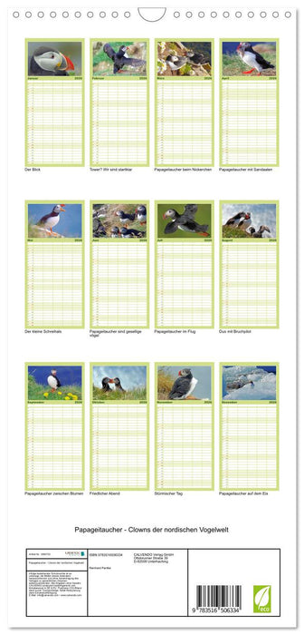 Papageitaucher - Clowns der nordischen Vogelwelt (CALVENDO Familienplaner 2026)