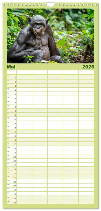 KONGO - das dunkle Herz Afrikas (CALVENDO Familienplaner 2026)