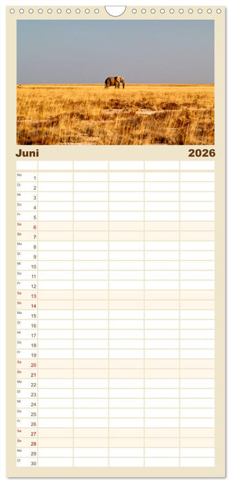 Namibia - Ein Paradies auf Erden. (CALVENDO Familienplaner 2026)