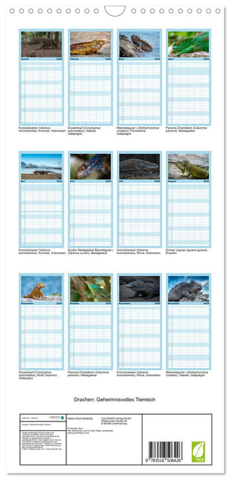 Drachen: Geheimnisvolles Tierreich (CALVENDO Familienplaner 2026)
