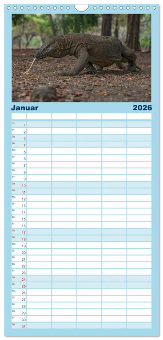 Drachen: Geheimnisvolles Tierreich (CALVENDO Familienplaner 2026)