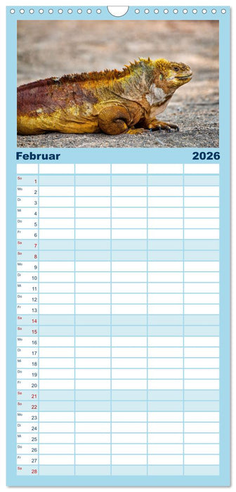 Drachen: Geheimnisvolles Tierreich (CALVENDO Familienplaner 2026)