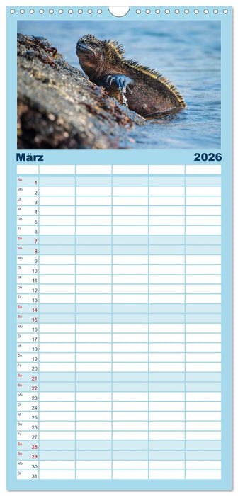 Drachen: Geheimnisvolles Tierreich (CALVENDO Familienplaner 2026)