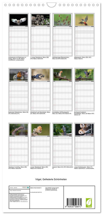 Vögel, Gefiederte Schönheiten (CALVENDO Familienplaner 2026)