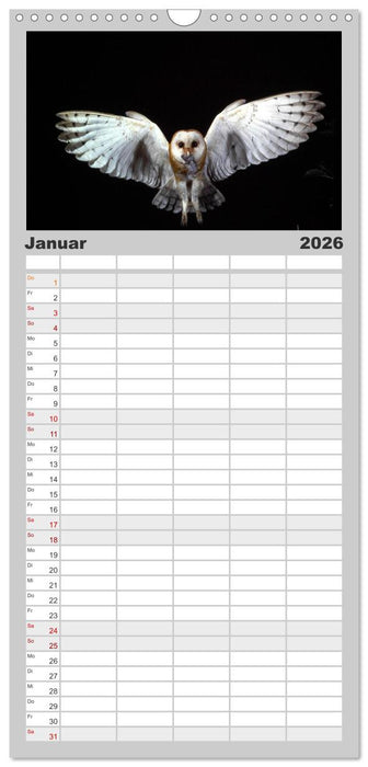 Vögel, Gefiederte Schönheiten (CALVENDO Familienplaner 2026)