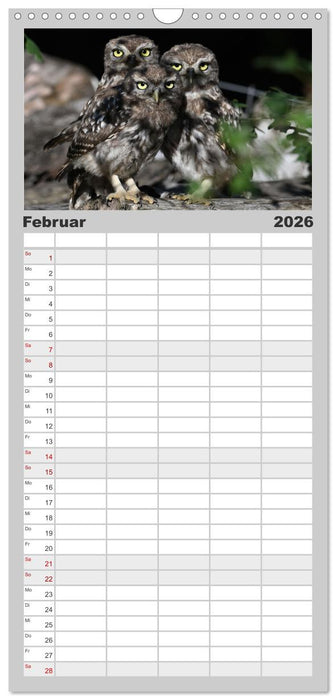 Vögel, Gefiederte Schönheiten (CALVENDO Familienplaner 2026)