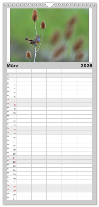 Vögel, Gefiederte Schönheiten (CALVENDO Familienplaner 2026)