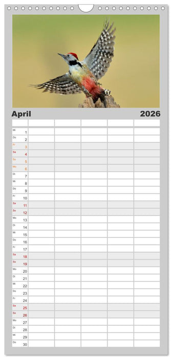 Vögel, Gefiederte Schönheiten (CALVENDO Familienplaner 2026)