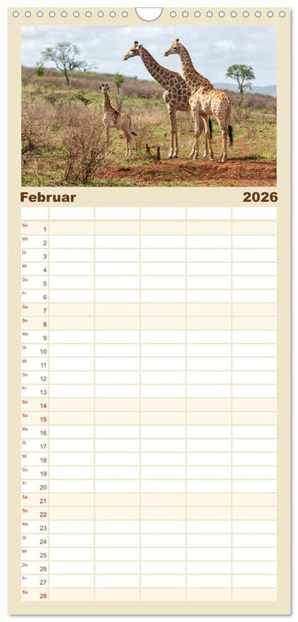 Südafrika wunderbare Tierwelt (CALVENDO Familienplaner 2026)