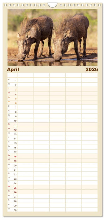 Südafrika wunderbare Tierwelt (CALVENDO Familienplaner 2026)