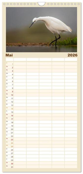 Südafrika wunderbare Tierwelt (CALVENDO Familienplaner 2026)