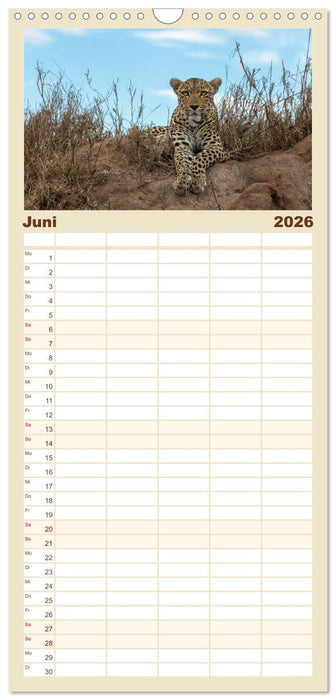 Südafrika wunderbare Tierwelt (CALVENDO Familienplaner 2026)