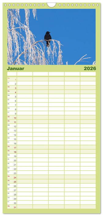 Heimische Vögel und Insekten in Wald und Flur (CALVENDO Familienplaner 2026)
