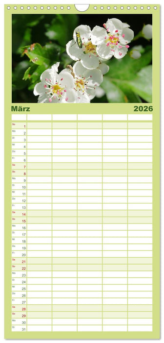 Heimische Vögel und Insekten in Wald und Flur (CALVENDO Familienplaner 2026)