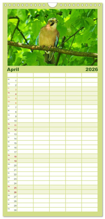 Heimische Vögel und Insekten in Wald und Flur (CALVENDO Familienplaner 2026)