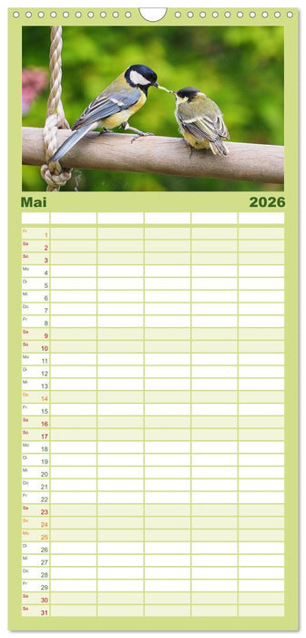 Heimische Vögel und Insekten in Wald und Flur (CALVENDO Familienplaner 2026)