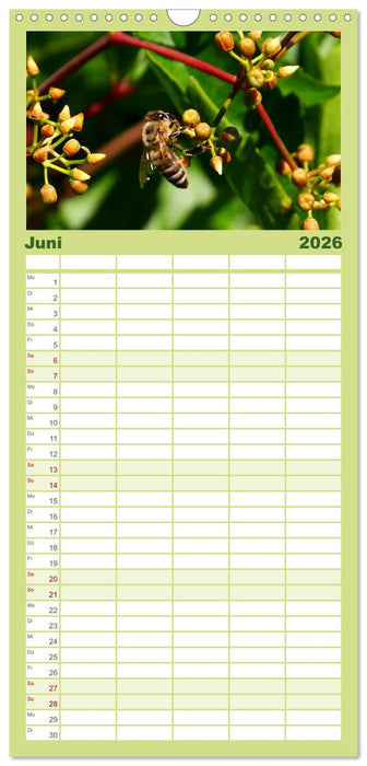 Heimische Vögel und Insekten in Wald und Flur (CALVENDO Familienplaner 2026)